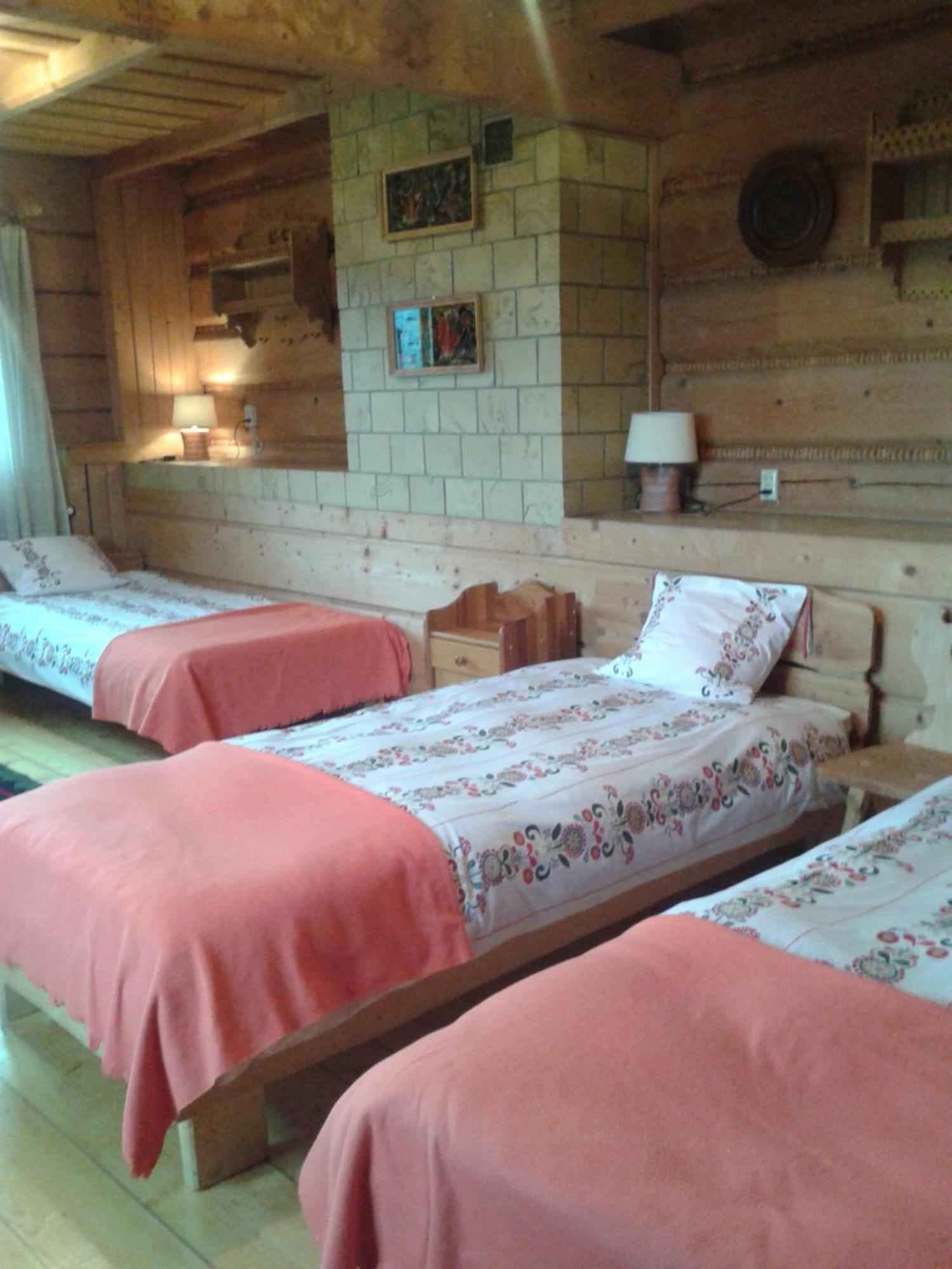 Pokoje Goscinne Koscielisko Az Somatic Bagian luar foto